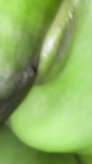 منتديات فتاة سخيف فتاة جميلة بنجلاديش