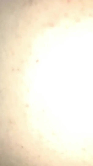 سلمى العربية تبا الجزء 68